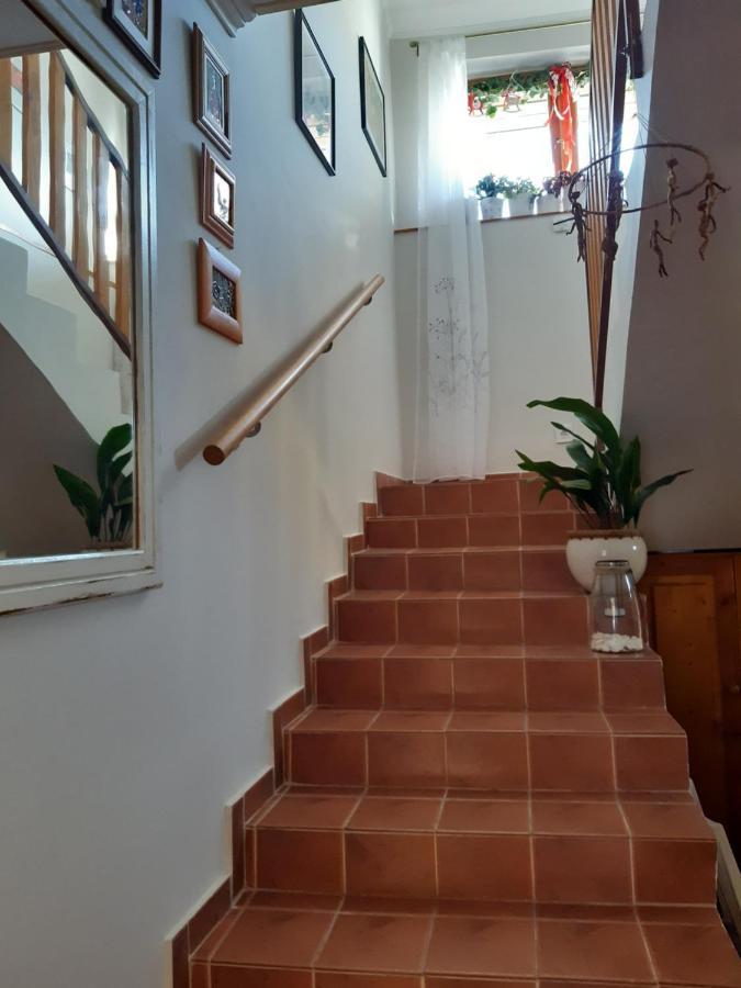 גיולה Nora Apartman מראה חיצוני תמונה